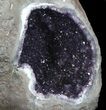 Top Quality Amethyst Geode - lbs #36468-3